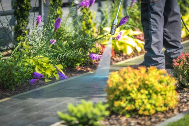 Best Dumpster Area Cleaning  in Lake Alfred, FL