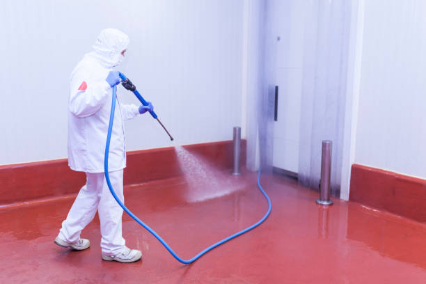 Reliable Lake Alfred, FL Pressure Washing Solutions