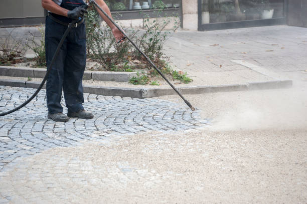 Best Roof Washing  in Lake Alfred, FL