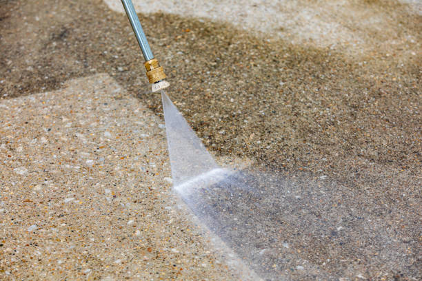 Best Animal Enclosure Cleaning  in Lake Alfred, FL