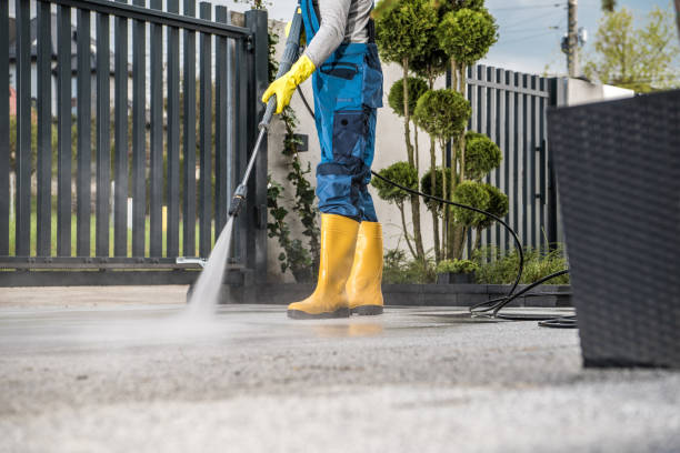 Best Rust Removal  in Lake Alfred, FL